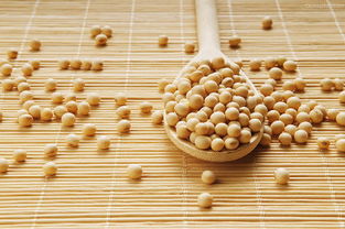 宜賓新聞網(wǎng)健康頻道 食品安全，從餐桌到人心