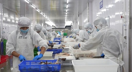 曹縣 開足馬力忙生產(chǎn)，食品產(chǎn)業(yè)煥發(fā)新活力